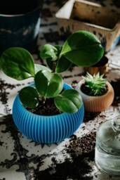 Medium Planter 71P01.500.blue/3D Printed Plant Pot Ecofriendly & Geometric Minimalist Modern - thumbnail 1