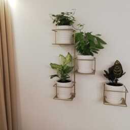 Jungle 2 Wall Metal Plant Hanger, Pflanzenaufh??nger, Kwietnik - thumbnail 4