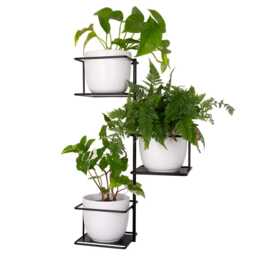 Jungle 2 Wall Metal Plant Hanger, Pflanzenaufh??nger, Kwietnik