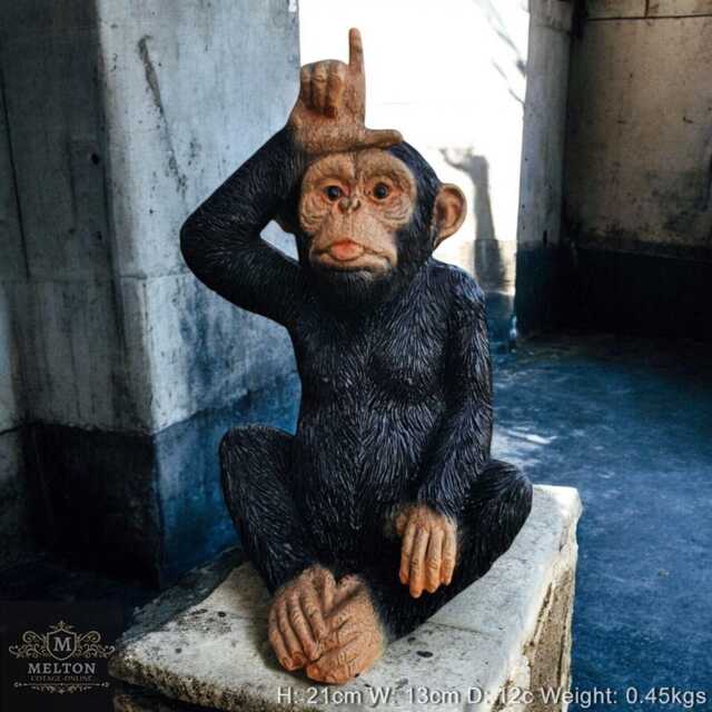 Our Little Loser Monkey Ornament May Think You Are A But We Don't, Gift - image 1