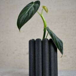 "Tall Planter ""Ladyfingers Black" - thumbnail 2