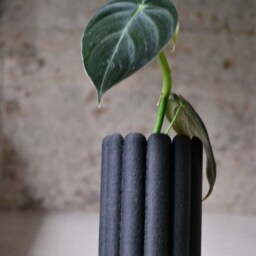 "Tall Planter ""Ladyfingers Black" - thumbnail 3