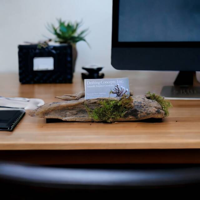 Driftwood Business Card Holder With Live Moss Detail - image 1
