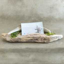 Driftwood Business Card Holder With Live Moss Detail - thumbnail 4
