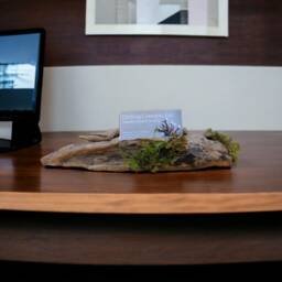 Driftwood Business Card Holder With Live Moss Detail - thumbnail 2