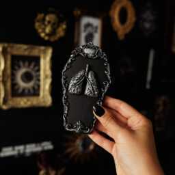 Lungs in Coffin Goth Wall Hanging - Handmade Gothic Decor Witchy Gallery Filler Dark Academia Anatomy Gift Spooky Home - thumbnail 3