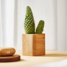 Handmade Wooden Succulent Planter Small Cubic Plant Pot