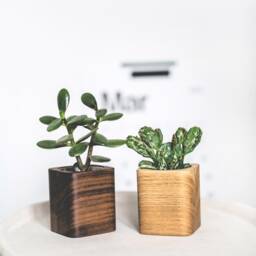 Handmade Wooden Succulent Planter Small Cubic Plant Pot - thumbnail 3