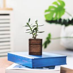 Handmade Wooden Succulent Planter Small Cubic Plant Pot - thumbnail 2