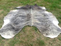 Brindle Gray Brown Large New Cowhide Rug Natural Hair On - 6x6 Ft Size Approx Tri-Color Brown Tones Soft Carpet Cow Hide R-R T - thumbnail 1