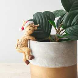 Christmas Plant Pot Santa Festive Hanging Highland Cow Coo Decoration Hanger - thumbnail 1