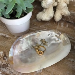 Handmade Mother Of Pearl Clam Jewelry Dish - Shell Soap Seashell -Coastal Home Decor Guest Rm -Beach Bathroom - thumbnail 2