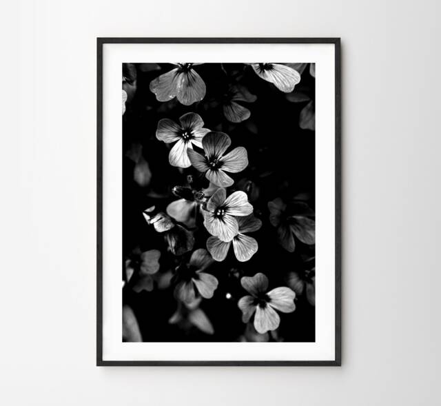 Black & White Flowers Photo Print Vintage Floral Close Up Poster Botanical Nature Framing - image 1