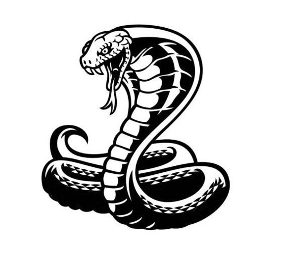 King Cobra Snake Vinyl Car Bonnet Hood Side Sticker Decal Graphic Wall Art Van Campervan Motorhome Sign Window Door