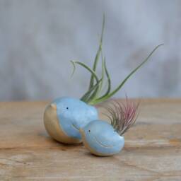 Bird Air Plant Holder With in Cornflower Blue - thumbnail 2