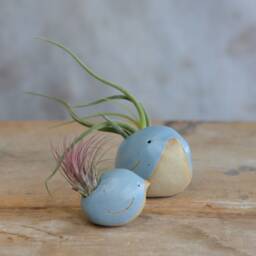 Bird Air Plant Holder With in Cornflower Blue - thumbnail 1