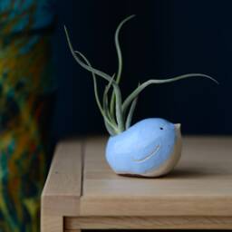 Bird Air Plant Holder With in Cornflower Blue - thumbnail 3