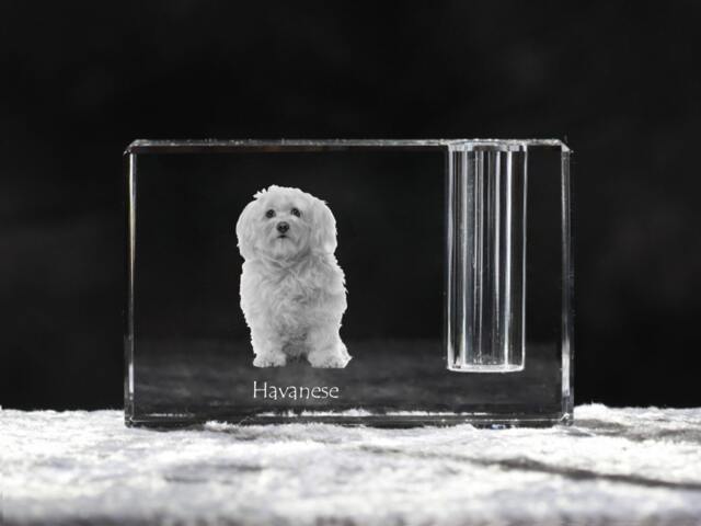 Havanese , Crystal Pen Holder With Dog, Souvenir, Decoration, Limited Edition, Collection - image 1