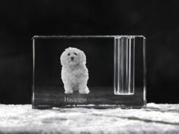 Havanese , Crystal Pen Holder With Dog, Souvenir, Decoration, Limited Edition, Collection - thumbnail 1