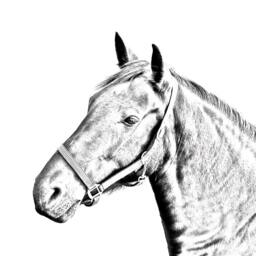 Danish Warmblood - Wooden Stand For Candles/Pens With The Image Of A Horse New Collection - thumbnail 2