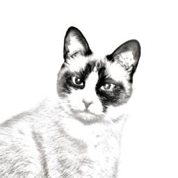 Snowshoe Cat - Wooden Stand For Candles/Pens With The Image Of A New Collection - thumbnail 2