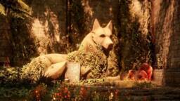 Dragon Age Veilguard Giant Fen'harel Statue - Wolf Statue Inquisition - thumbnail 2
