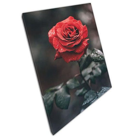 Red Rose Canvas Print Ready To Hang Wall Art For Home Office Decor - image 1