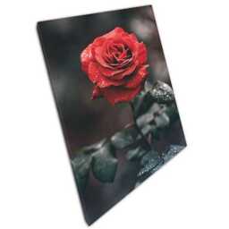 Red Rose Canvas Print Ready To Hang Wall Art For Home Office Decor - thumbnail 1