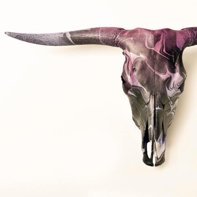 Bull Skull Decoration Wall Real Bull's Head Antler Horn Horns Marbling Design Bullskull Lucky Bones - image 1