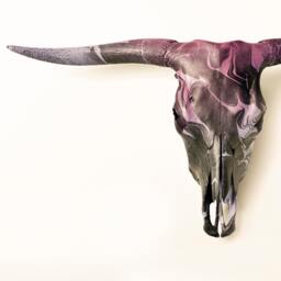 Bull Skull Decoration Wall Real Bull's Head Antler Horn Horns Marbling Design Bullskull Lucky Bones