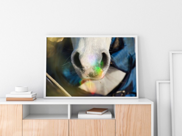 Horse - Wall Art Poster Photo Print Living Room- Hallway Print Equestrian Equine Lovers Office Home Decor