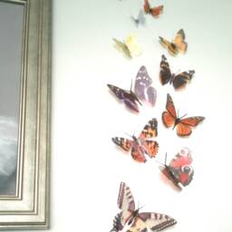 Ten Natural British Butterfly Home Decorations Self Adhesive - thumbnail 3