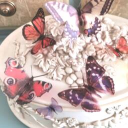 Ten Natural British Butterfly Home Decorations Self Adhesive - thumbnail 2