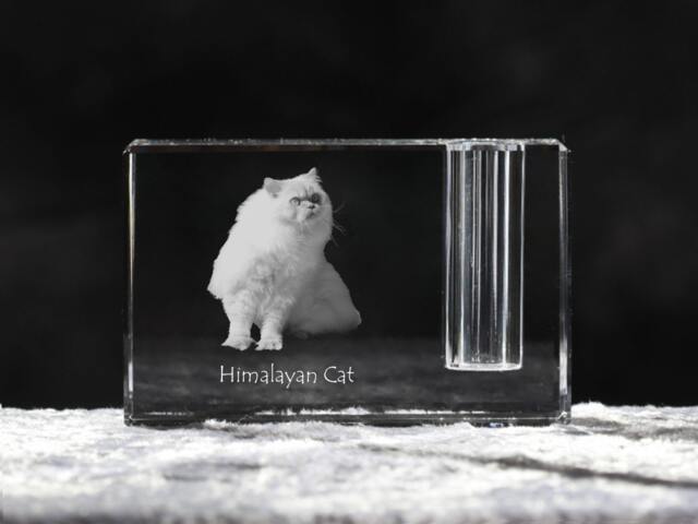 Himalayan Cat , Crystal Pen Holder With Cat, Souvenir, Decoration, Limited Edition, Collection - image 1