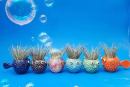 Puffer Fish, Table Top Planters, Air Plants, Joyful Gift, Tropical Fish Planter - thumbnail 1
