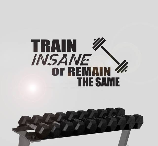 Train Insane Or Remain The Same - Motivational Wall Sticker Contemporary Vinyl Decal Gym Fitness - image 1