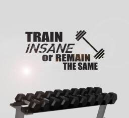 Train Insane Or Remain The Same - Motivational Wall Sticker Contemporary Vinyl Decal Gym Fitness - thumbnail 1