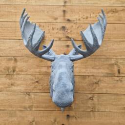 Moose Wall Art - Animal Mount- 3D Printed Multiple Colours Available - thumbnail 3