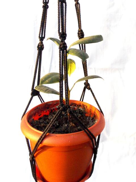 Black Mini Macrame Plant Hanger 18 Inches 3mm Hanging Planter Wall Hanging Indoor Or Outdoor Decor Flower Por Pattern Gift Idea - image 1