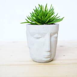 Concrete Nordic Face Plant Pot - thumbnail 2