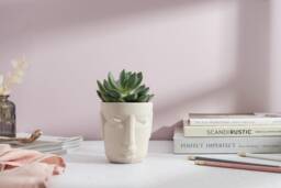 Concrete Nordic Face Plant Pot