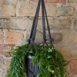 Macrame Plant Hanger, Flowerpot Plant Holder, Modern Eco Macrame, Weaving Knot Home Decor - thumbnail 2