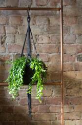 Macrame Plant Hanger, Flowerpot Plant Holder, Modern Eco Macrame, Weaving Knot Home Decor - thumbnail 1