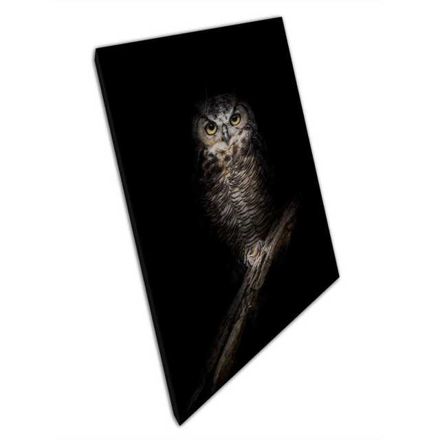 Majestic Owl Canvas Print Wildlife Photography Wall Art For Home & Office Decor - image 1