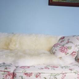 Quadruple Sheepskin Rug - Natural White Fur Carpet, 74x43 Inches - thumbnail 3