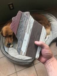 Wisconsin Reclaimed Barn Wood Art - Local Dane County Barnwood Wi State Wall Decor 8 - thumbnail 2