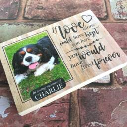 Dog Memorial, Pet Memorial Frame, Ornament, Gift, Photo Memorial Picture Cat Frame - thumbnail 4