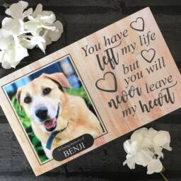 Dog Memorial, Pet Memorial Frame, Ornament, Gift, Photo Memorial Picture Cat Frame - thumbnail 2