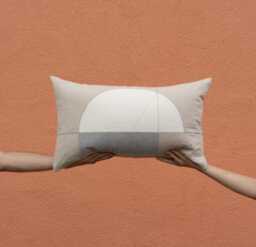 Artifact 14 Lumbar Pillow