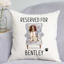 Springer Spaniel Cushion - Dog Related Gift Reserved For Dog Cushion Gift